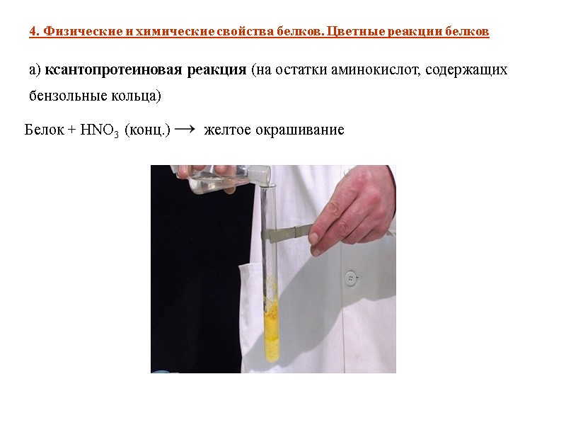 а) ксантопротеиновая реакция (на остатки аминокислот, содержащих бензольные кольца) 4. Физические и химические свойства